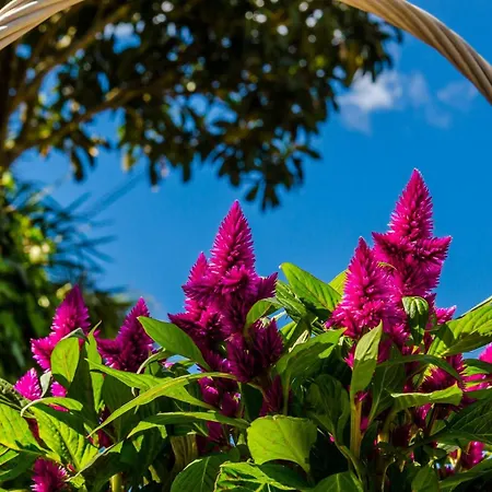 Bay Of Dreams - Two-bedroom With Terrace And Sea View Apartmán *